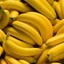 Lookin&#039; for Bananers