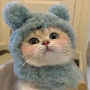 超级大的菲菲菲