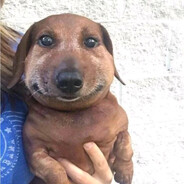 Арбузный Магнат