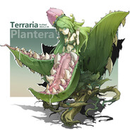 Flore_salty mushroom