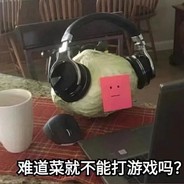 就算是路人也要努力の地球online game