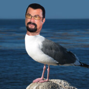 Steven Seagull