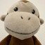 Black Banana Monkey