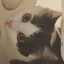 meowmeow:3