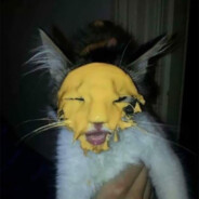 Cheese Kitty