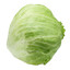 Uncooked Lettuce