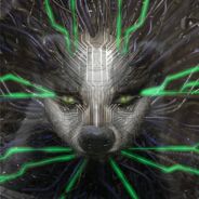 BetaMayra