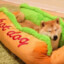 HotDog233