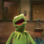 Cooming Kermit