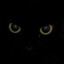 Black Cat