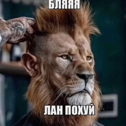 перекрут яичка