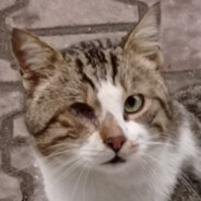 Bucky - steam id 76561198145880307