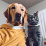 我为童姐举大旗