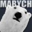 Marych 5k mmr