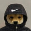Perro Bomba