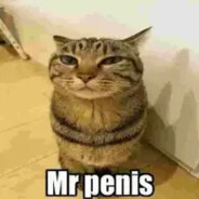 Mr. Penis