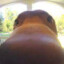 dallyfart77