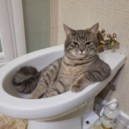 S1mpleDonk_lutiyzhorikchiter777