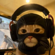 Tramel - steam id 76561199168391643