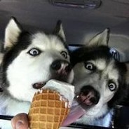 老友电竞club  强哥