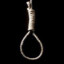 epstein&#039;s noose