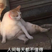 想被可爱小熊这样那样