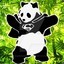 superpanda9948