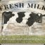 Fresh Milk