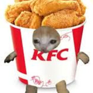 KFC cat