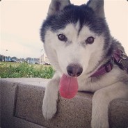 淡青色的小薄荷、