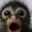 :o