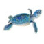 cturtle25