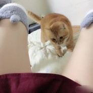 一天天的给我看些啥啊