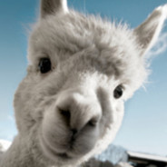 又龙又虾还马枪