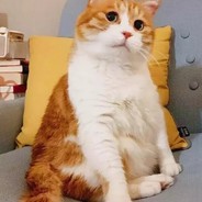 要喷直接打电话15006691000