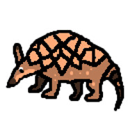 Prime_Armadillo