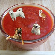 DogSauce