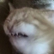 GniLb