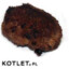 Kotlet