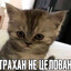 Marakesh