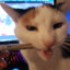 ruude