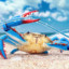 Crab