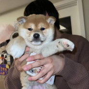 拒绝朱茵一百次