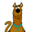 SCOOBY STYLED