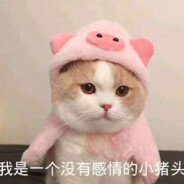 アスラン·ザラ