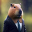 MR CAPYBARA