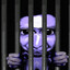 fnaffan2016