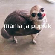 Priviet Pupsik