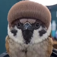 Чирик