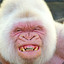 kingkong